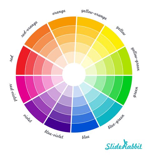 How to Color a Turtle 的图像结果