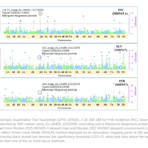 Image result for Structure Genetics Software User Guide