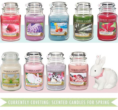 Summer Scents For Candles _ The Best Summer Scented Candles - TJHA