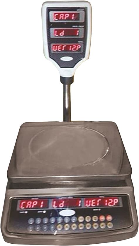 Metis Electronic Computing Stainless Steel Grey Weighing Scale, 30 Kg ...