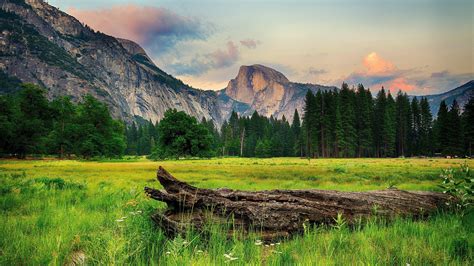 8K Computer Wallpapers - Top Free 8K Computer Backgrounds - WallpaperAccess