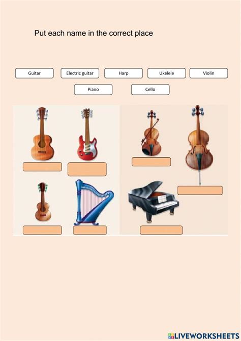 Image result for String Instruments Explained for Children