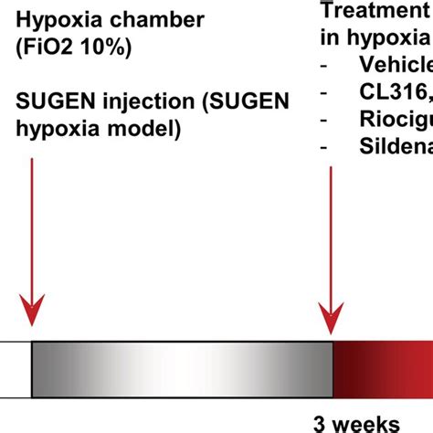 Image result for Understanding FiO2