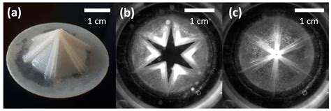 Progress on a Novel, 3D-Printable Heart Valve Prosthesis
