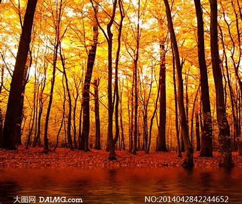 秋天的景色摄影图__山水风景_自然景观_摄影图库_昵图网nipic.com