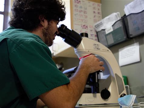 Learn More About Veterinary Technician Jobs and Careers with Heartland