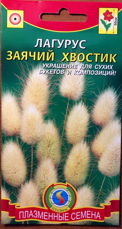 Семена Злаки Лагурус, Зайцехвост, Мнг - купить по выгодной цене | Урожайка