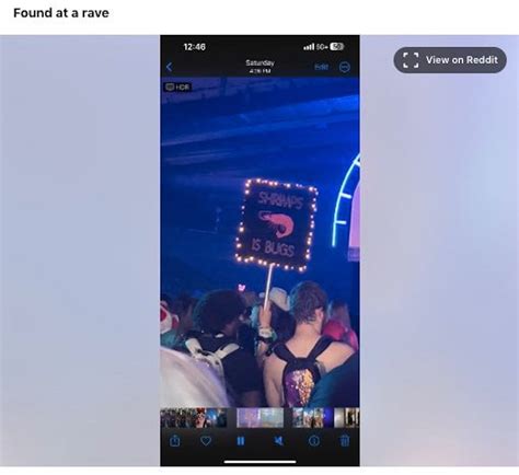 Shrimps Is Bugs: The Tattoo That Became A Meme