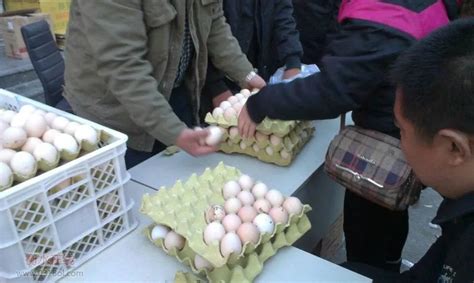 领鸡蛋诱骗35名老人共1.2万最新素材