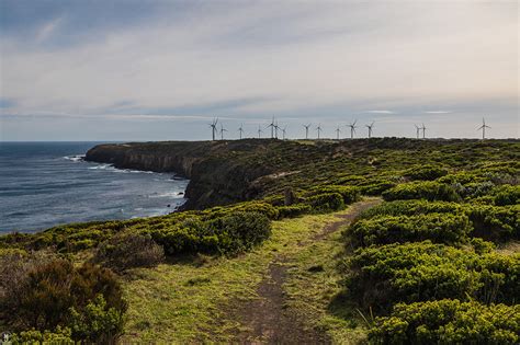 Seaside 的图像结果