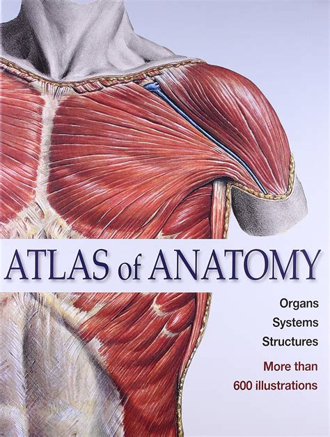 Buy Atlas of Anatomy Organs Systems Structures Book Online at Low ...
