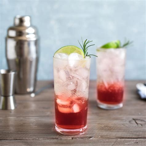 13 Fruity & Fun Sloe Gin Cocktails To Make At Home!
