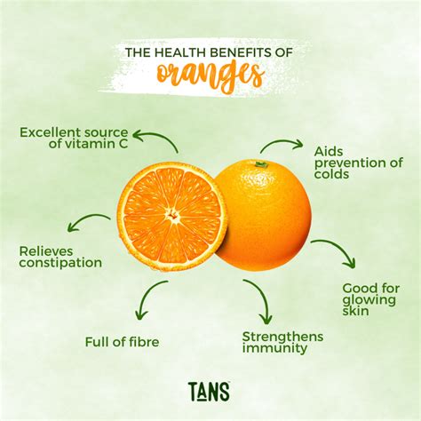 Exploring The Tangy Goodness And Health Benefits Of Oranges