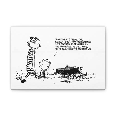 Calvin And Hobbes Relationship Quotes