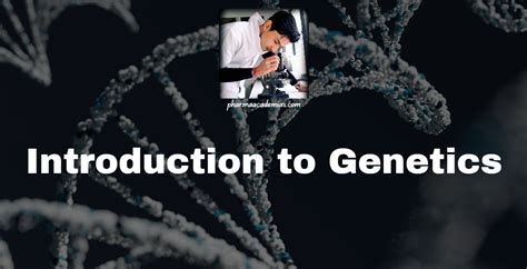 Genetics Introduction 的图像结果