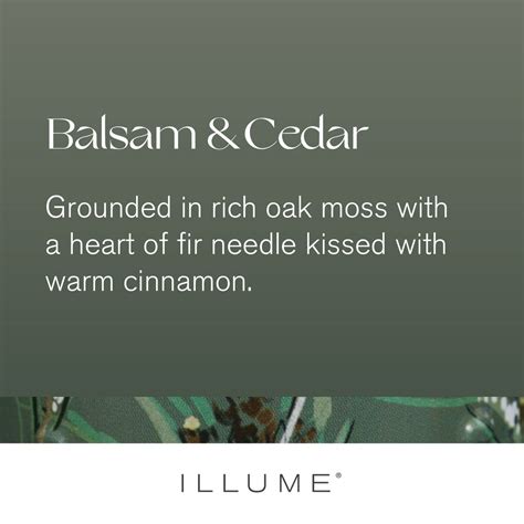 ILLUME® Candles Balsam & Cedar Large Boxed Giftable Holiday Crackle ...