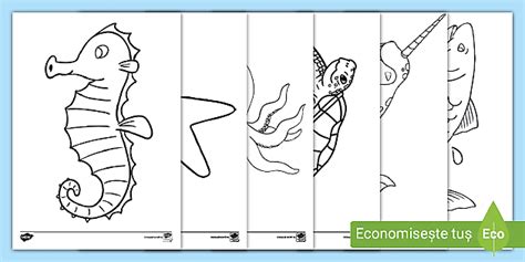 Viețuitoare marine – Desene de colorat (teacher made)