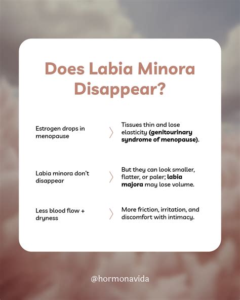 Labia Minora Menopause