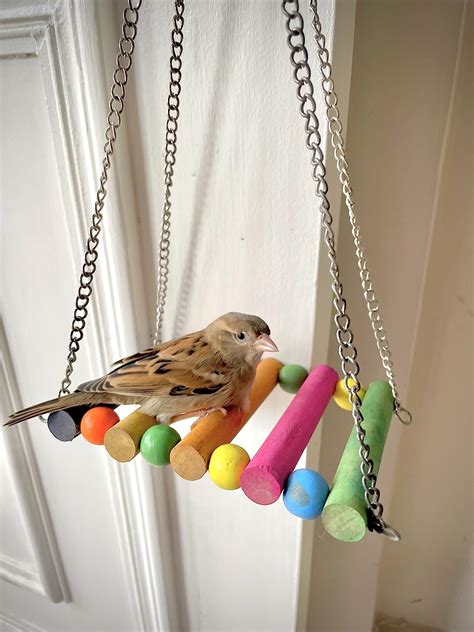 WildBird Care Natural Wood Bead Chain Swing Toy for Parrot, Budgies ...