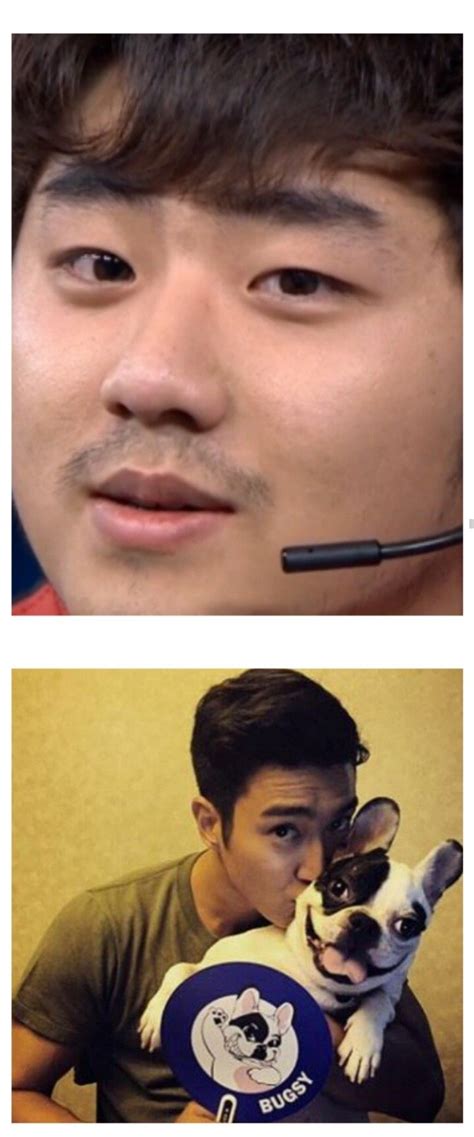 17롤드컵 Skt Rng 롤갤드립.jpg - 포텐 터짐 최신순 - 에펨코리아