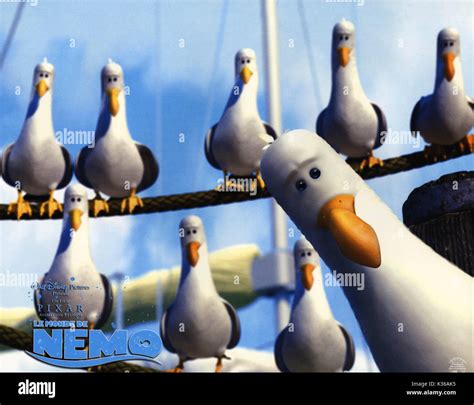 Finding nemo hi-res stock photography and images - Alamy