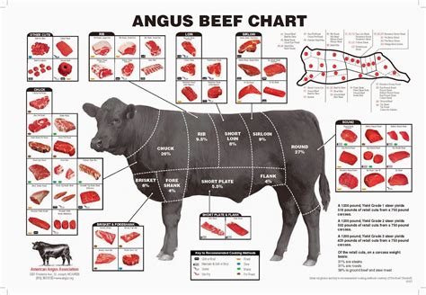 Parts Of A Beef Cow Diagram A Barbecue Steaks Breakdown For
