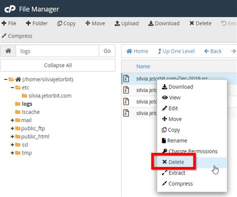 Delete File Manager 的图像结果