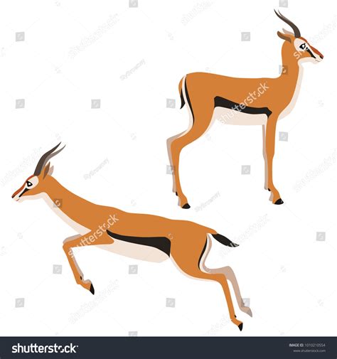 Vector Illustration Standing Running Thomsons Gazelles Stock Vector ...