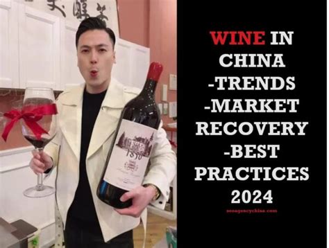 Fine Wine SEO | Seattle Marketing Partnering with SEO Company Vector Art