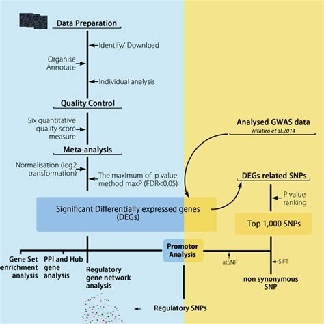 Gwas Microarray 的图像结果