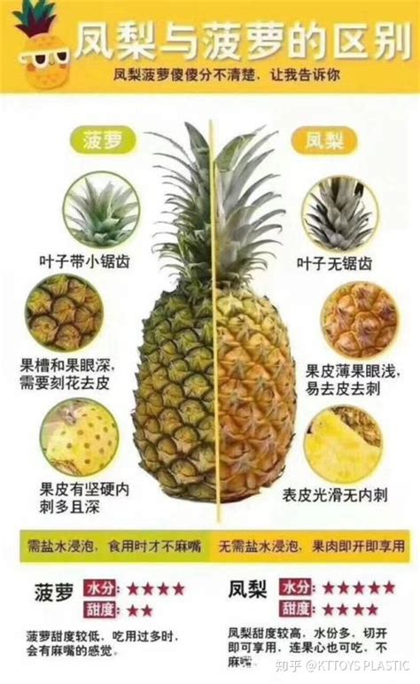 凤梨和菠萝英文怎么区分？ - 知乎