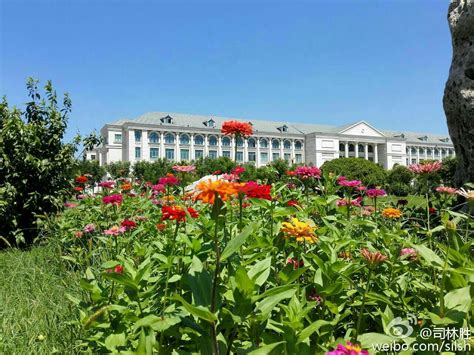 商丘师范学院-大象网