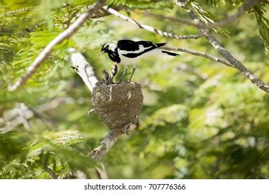 Image result for MnO2 CeO2 Sem