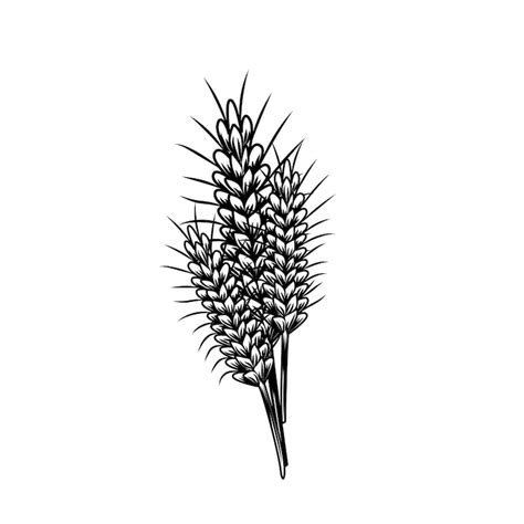 Rye berries Images - Free Download on Freepik