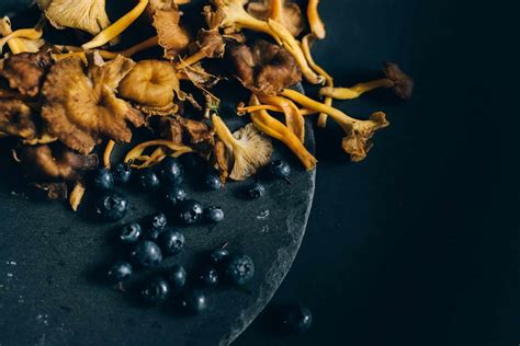 How To Make Dried Blueberries - Fruits Knowledge World
