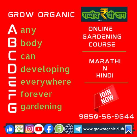 Decision I Made In Past... - Gacchivarchi Baug : Grow Organic