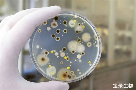 实验室常用仪器设备消毒和灭菌方法有哪些呢 ？__财经头条
