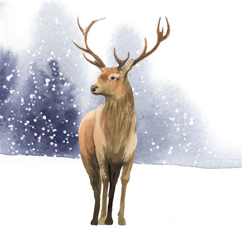 Veado macho pintado pelo vetor de aquarela | Vetor Grátis