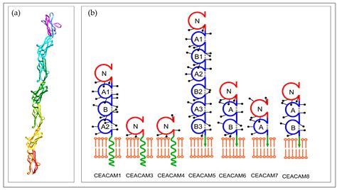MOFs-Based Biosensors for the Detection of Carcinoembryonic Antigen: A ...