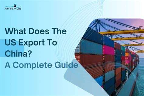 Export Examples 的图像结果