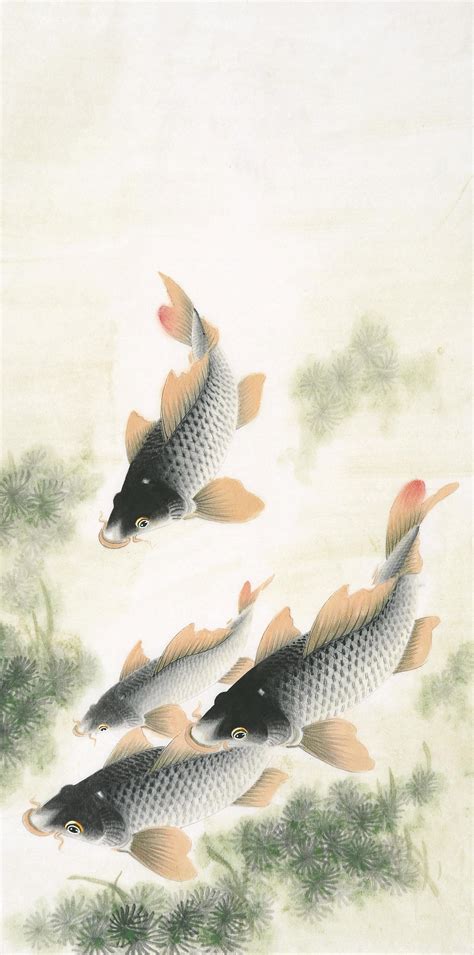 “中国画鲤第一高手”——朱贵成工笔鱼作品欣赏|阿贵|朱贵成|鱼_新浪新闻