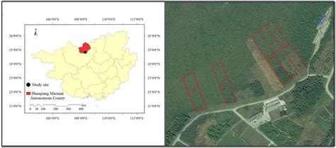 The Effects of Different Vegetation Restoration Models on Soil Quality ...