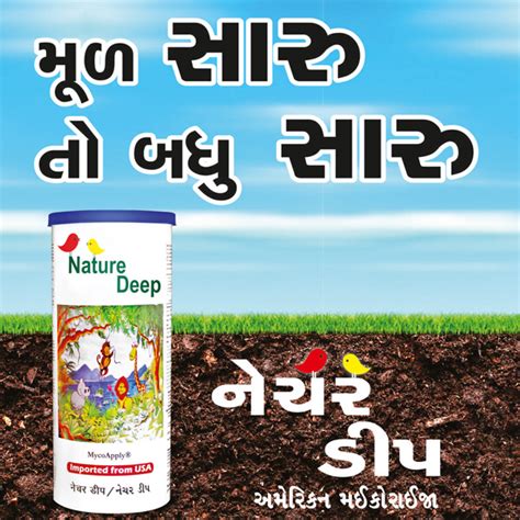 મૂળ સારુ તો બધુ સારુ - નેચર ડીપ (Sumitomo Naturedeep) અમેરિકન મઈકોરાઈજા