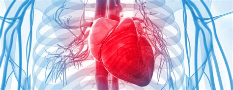 Alcohol Septal Ablation | Conditions & Treatments | UCSF Health