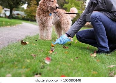 Image result for Poop Exploding Emoji