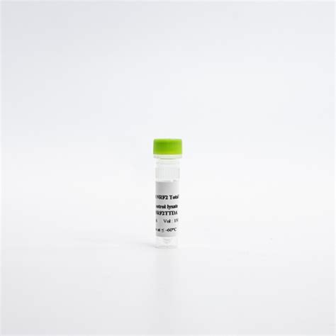 HTRF Human and Mouse Total NRF2 Detection Kit, Control Lysate | Revvity