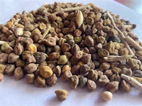 Shiv Narayan Gordhan Lal Garg - Products Details | Food Cluster