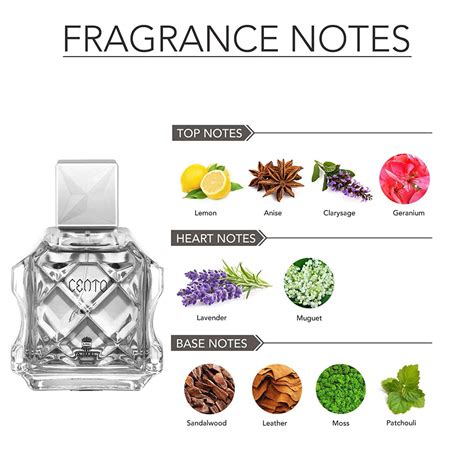 Buy AJMAL TITANIUM EAU DE PARFUM 100ML PERFUME FOR MEN AND CARBON HOMME ...