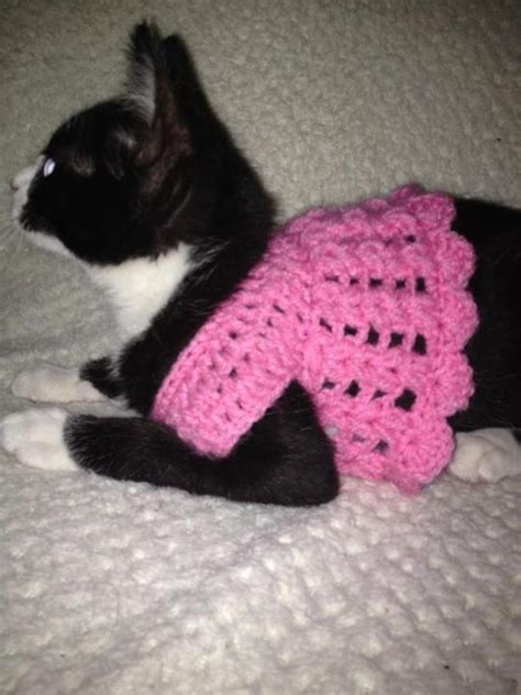 crochet kitten clothes