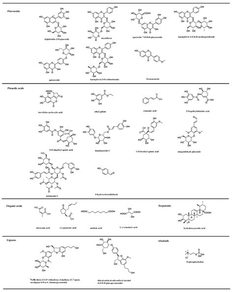 UPLC-ESI-MS/MS-Based Analysis of Various Edible Rosa Fruits Concerning ...